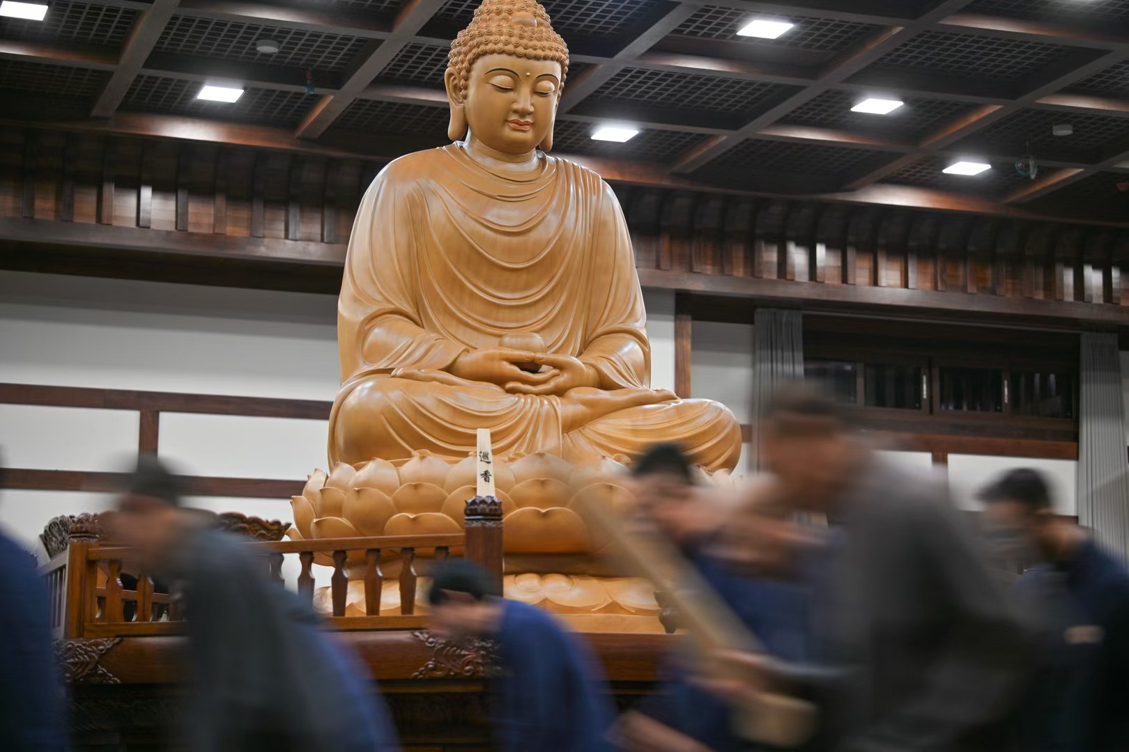 Professional Monk Guidance