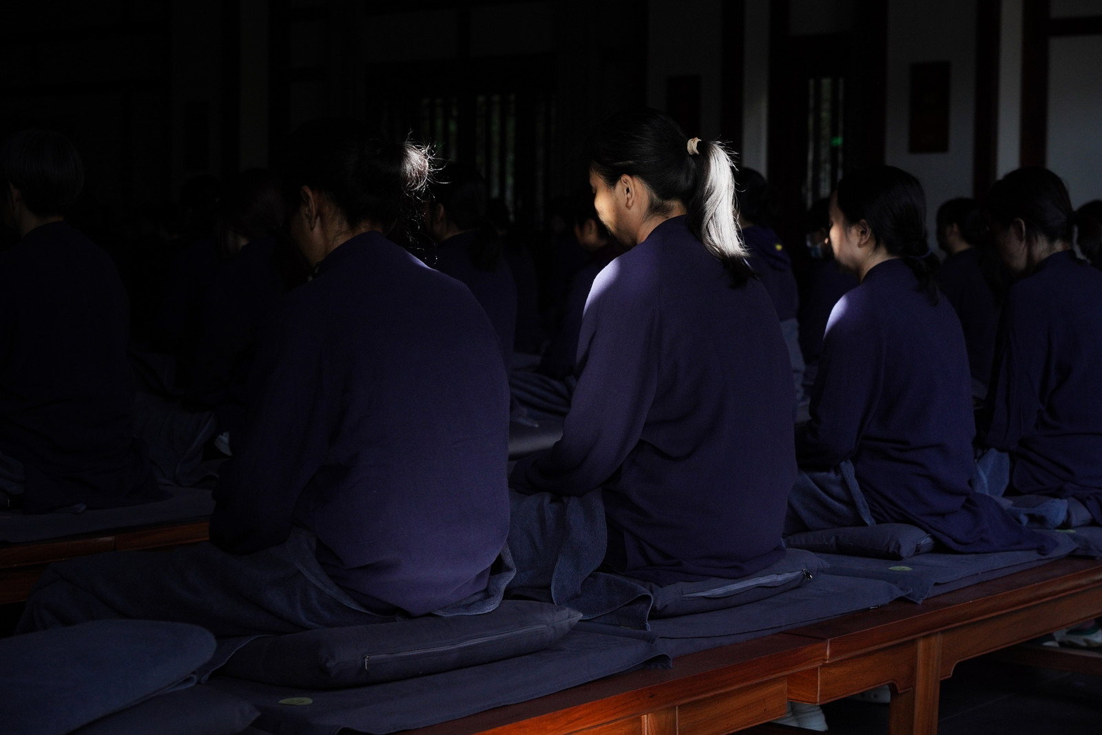 Meditators sitting in peaceful contemplation