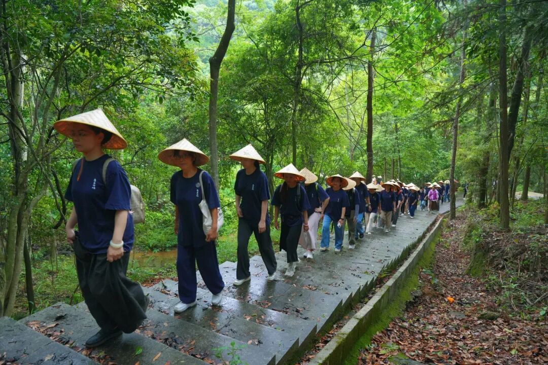 Group walking meditation in nature